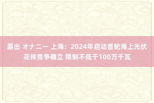 露出 オナニー 上海：2024年启动首轮海上光伏花样竞争确立 限制不低于100万千瓦