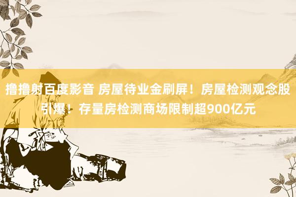 撸撸射百度影音 房屋待业金刷屏！房屋检测观念股引爆！存量房检测商场限制超900亿元