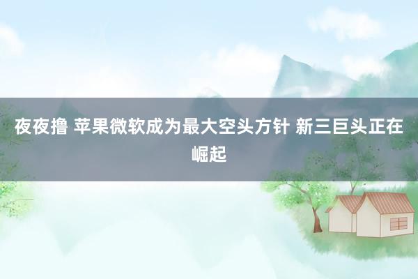 夜夜撸 苹果微软成为最大空头方针 新三巨头正在崛起