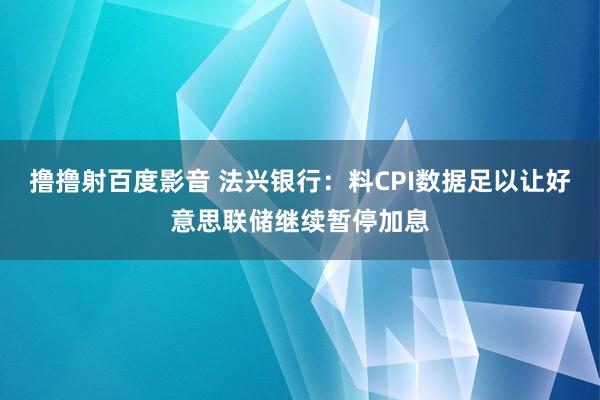 撸撸射百度影音 法兴银行：料CPI数据足以让好意思联储继续暂停加息