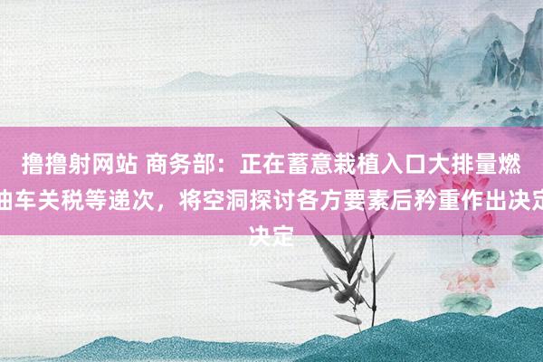 撸撸射网站 商务部：正在蓄意栽植入口大排量燃油车关税等递次，将空洞探讨各方要素后矜重作出决定