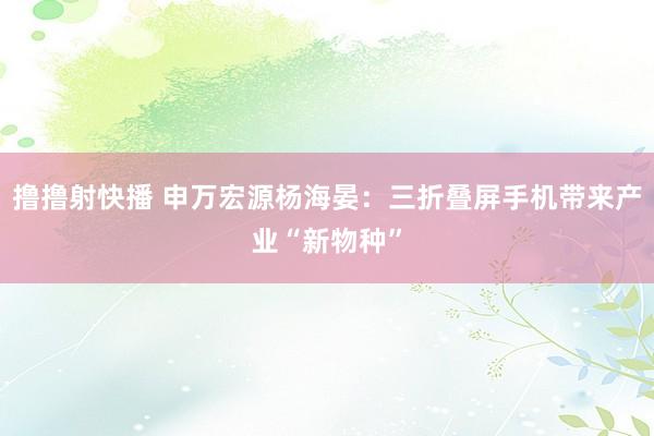 撸撸射快播 申万宏源杨海晏：三折叠屏手机带来产业“新物种”
