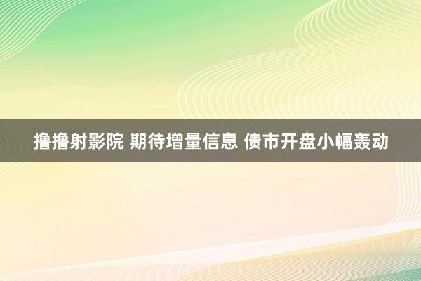 撸撸射影院 期待增量信息 债市开盘小幅轰动