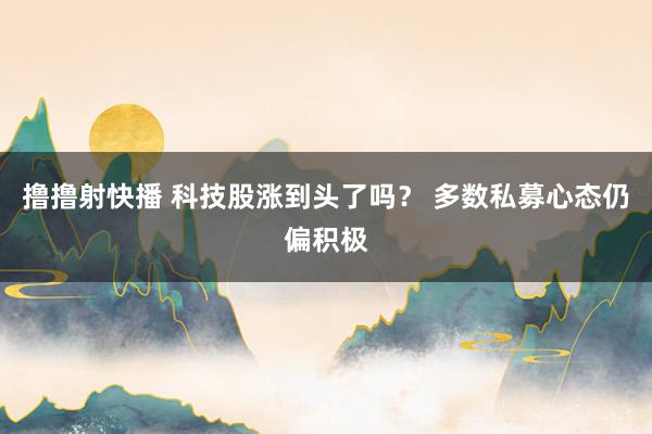 撸撸射快播 科技股涨到头了吗？ 多数私募心态仍偏积极