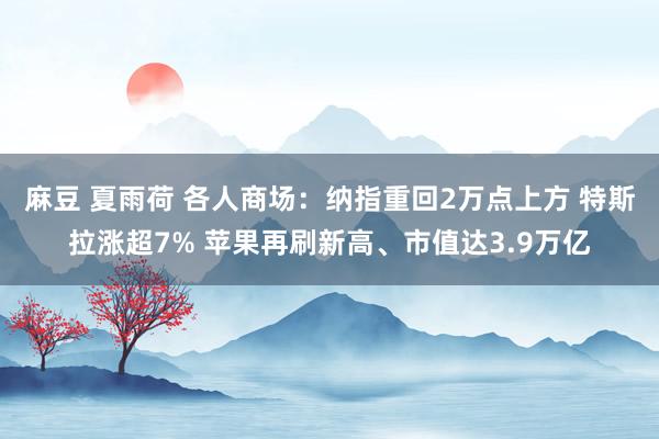 麻豆 夏雨荷 各人商场：纳指重回2万点上方 特斯拉涨超7% 苹果再刷新高、市值达3.9万亿