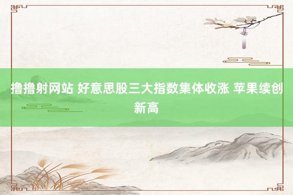 撸撸射网站 好意思股三大指数集体收涨 苹果续创新高