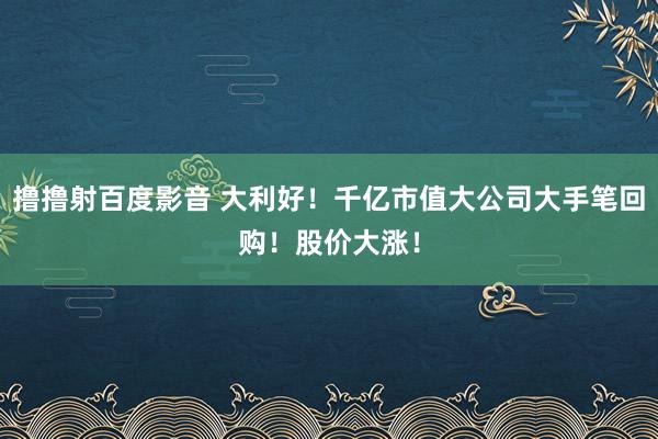 撸撸射百度影音 大利好！千亿市值大公司大手笔回购！股价大涨！