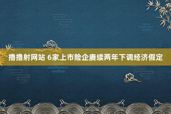 撸撸射网站 6家上市险企赓续两年下调经济假定