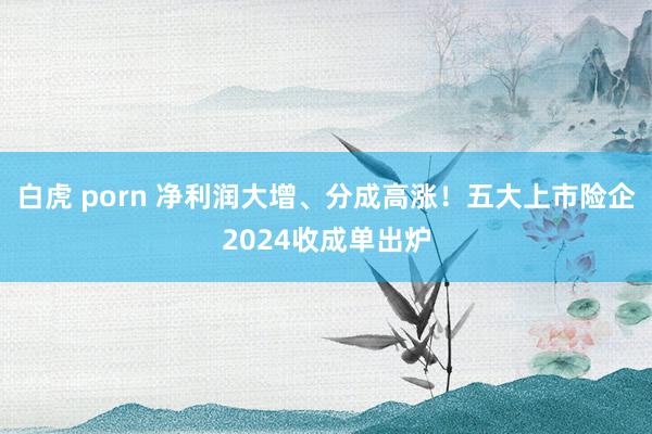 白虎 porn 净利润大增、分成高涨！五大上市险企2024收成单出炉